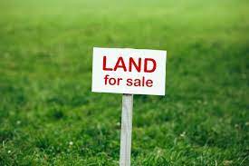 OBLIGATIONS OF THE PURCHASER AND VENDOR IN AN AGREEMENT FOR SALE OF LAND IN KENYA