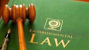 Enforcement of Environmental Rights in Kenya